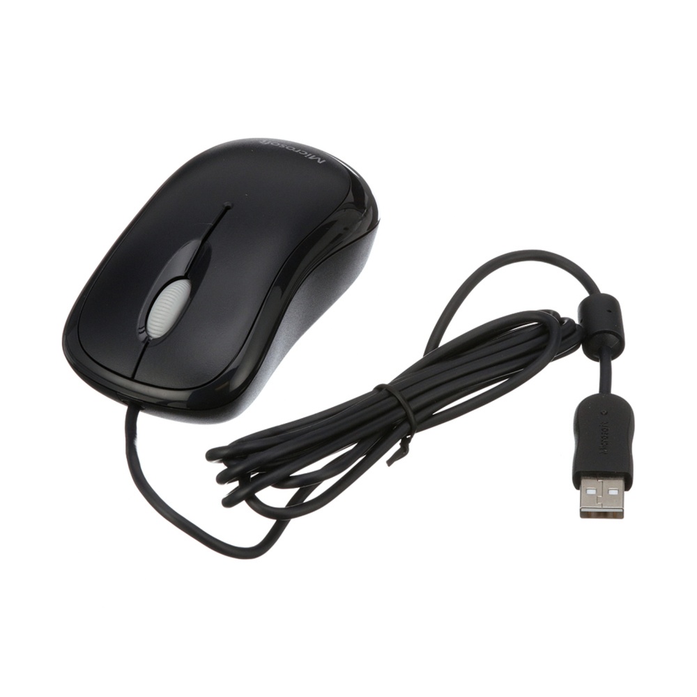 RCIM2 Mouse RCIM2 Mouse