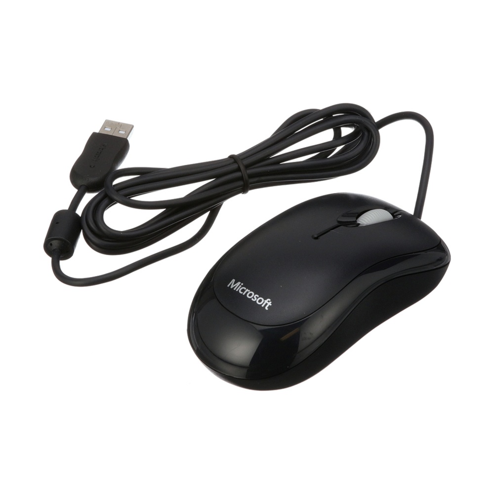 RCIM2 Mouse RCIM2 Mouse