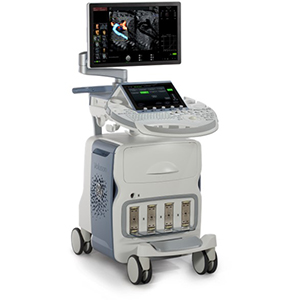 Voluson Upgrade E-series BT17 to BT21 Voluson Upgrade E-series BT17 to BT21