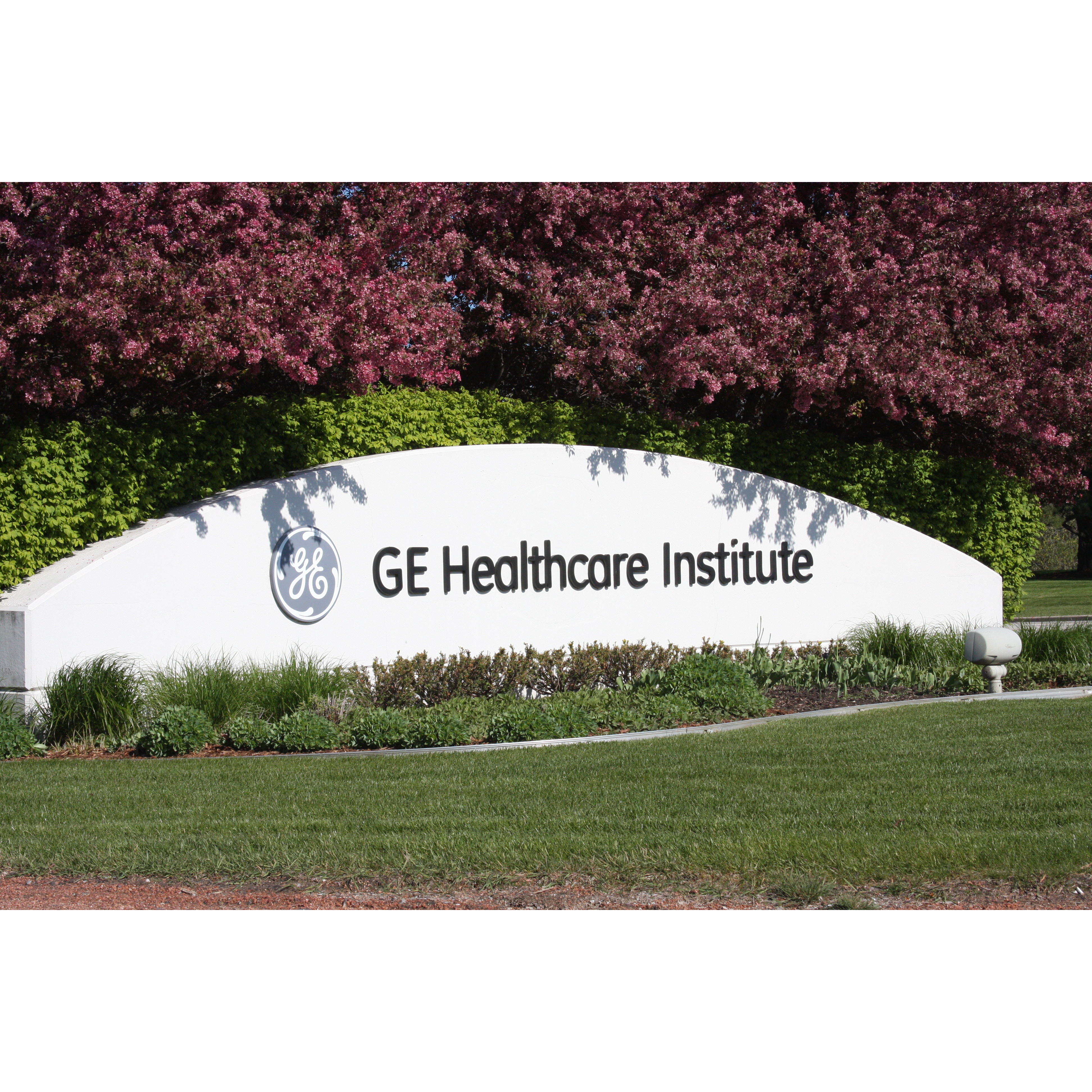 DGS Fundamentals Service Training - In Person (GE HealthCare Institute) DGS Fundamentals Service Training - In Person (GE HealthCare Institute)
